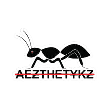 Load image into Gallery viewer, AEZTHETYKZ Ant Sticker