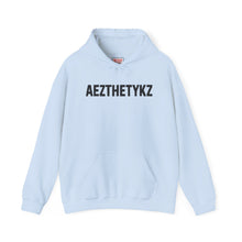 Load image into Gallery viewer, AEZTHETYKZ -Hoodie: Printed Logo Hooded-Sweatshirt