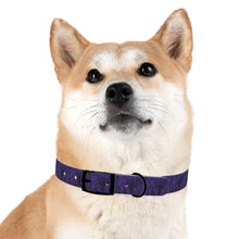 Load image into Gallery viewer, Dog Collar: AEZTHETYKZ Stylish Pet Accessory for Fashionable Dogs