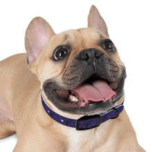 Load image into Gallery viewer, Dog Collar: AEZTHETYKZ Stylish Pet Accessory for Fashionable Dogs