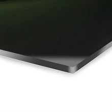 Load image into Gallery viewer, Lady Bird: Acrylic Art Print