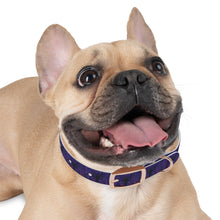 Load image into Gallery viewer, Dog Collar: AEZTHETYKZ Stylish Pet Accessory for Fashionable Dogs