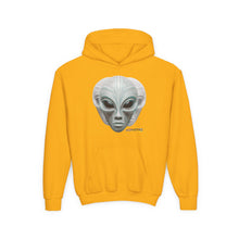 Load image into Gallery viewer, Yute Hoodie: Mask #101 Graphic Print Kids Sweatshirt