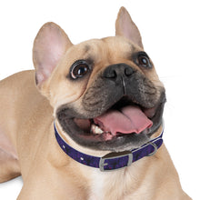 Load image into Gallery viewer, Dog Collar: AEZTHETYKZ Stylish Pet Accessory for Fashionable Dogs
