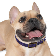 Load image into Gallery viewer, Dog Collar: AEZTHETYKZ Stylish Pet Accessory for Fashionable Dogs
