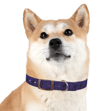 Load image into Gallery viewer, Dog Collar: AEZTHETYKZ Stylish Pet Accessory for Fashionable Dogs

