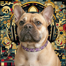 Load image into Gallery viewer, Clip-on Pet Collar for Stylish Pets
