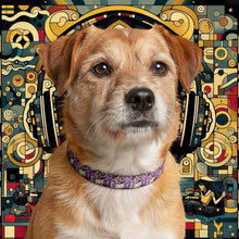 Load image into Gallery viewer, Clip-on Pet Collar for Stylish Pets

