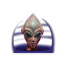 Load image into Gallery viewer, Hole and Head Sticker: Vinyl Decal
