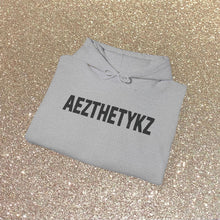 Load image into Gallery viewer, AEZTHETYKZ -Hoodie: Printed Logo Hooded-Sweatshirt
